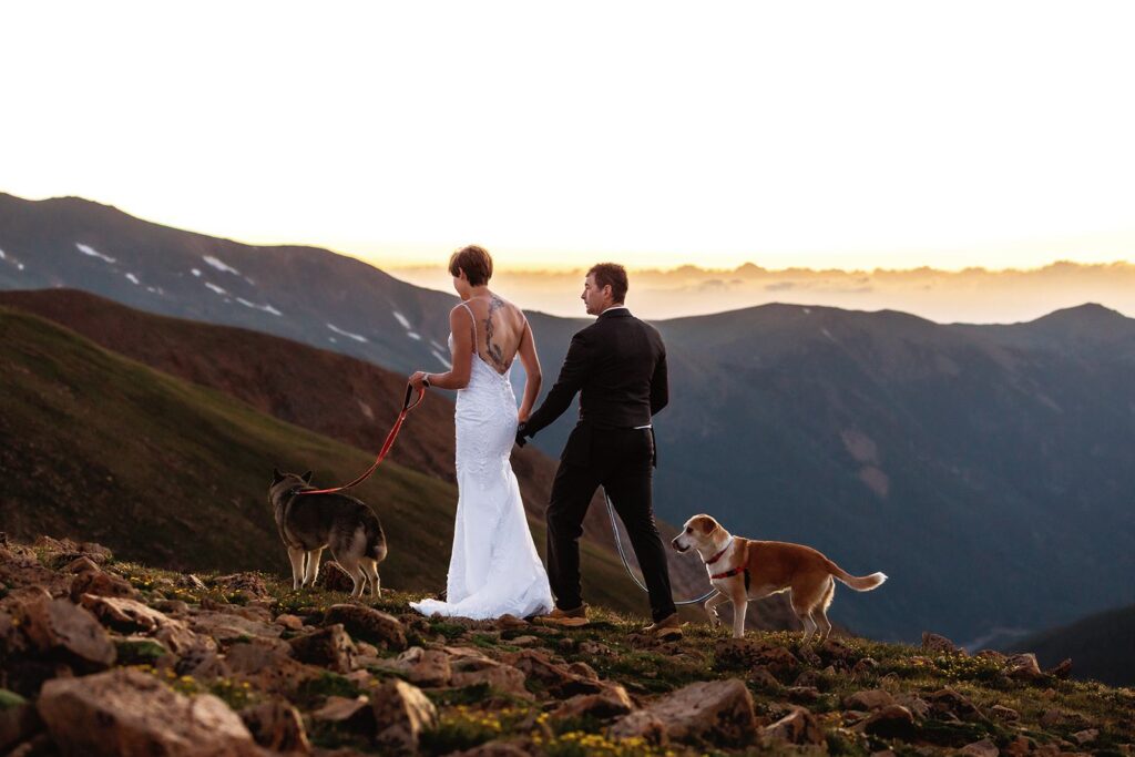A couple holds hands with their two dogs and takes in the sunset view for their Loveland Pass elopement in Colorado.