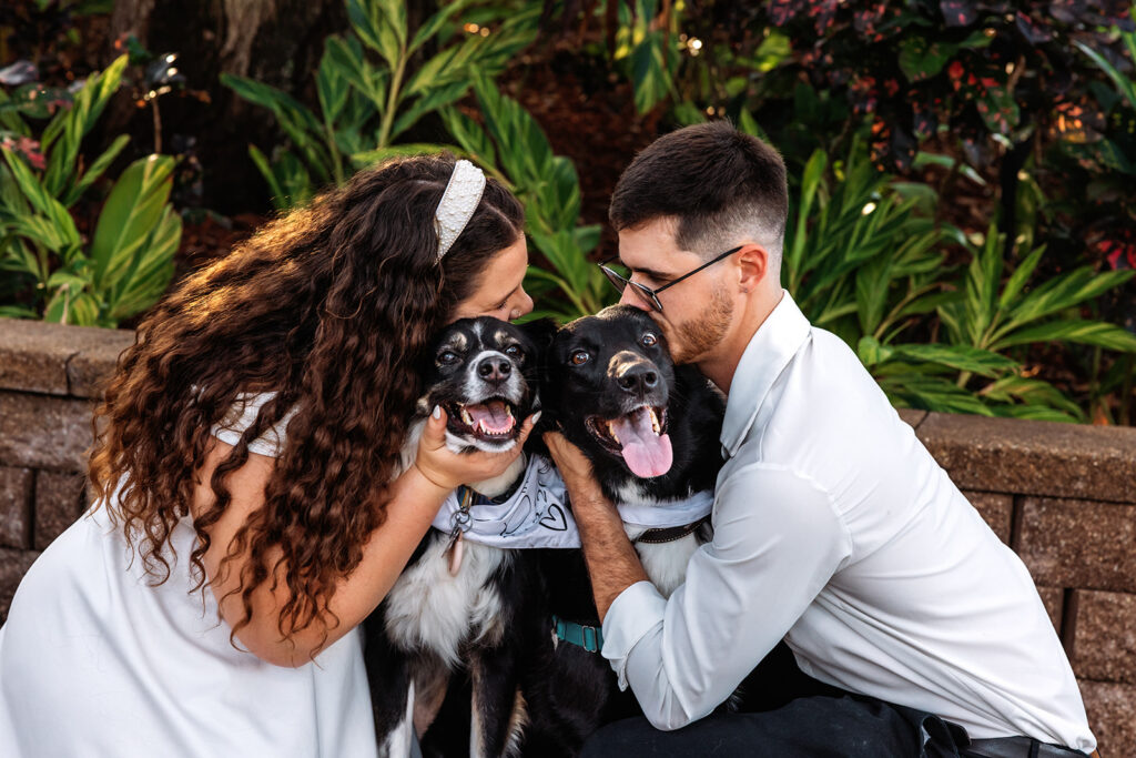 An engaged couple kisses their two dogs at Cypress Grove Park and Estate House, photographed by Orlando Engagement Photographer Shannon Lee.