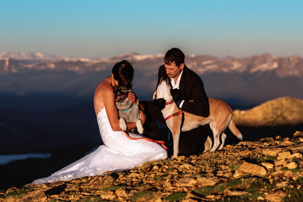 A bride and groom kneel together on a rugged mountain summit at sunset, sharing a tender moment with their two dogs against a sweeping panorama of snow-capped Rocky Mountain peaks — an intimate Colorado elopement with pets at its most heartfelt.