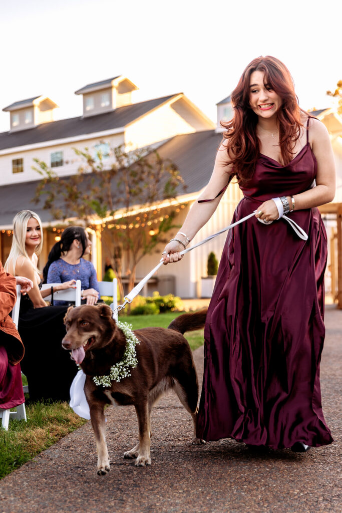 A beaming bridesmaid in a flowing burgundy gown walks a flower-crowned chocolate Labrador down the aisle at a golden hour barn wedding, with guests smiling from their seats — a sweet and memorable wedding with pets moment.