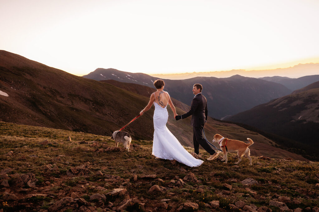 A bride in a backless lace gown and her groom walk hand in hand with their two dogs across a sweeping alpine meadow, heading toward a warm golden sunset horizon at their Loveland Pass elopement with pets.